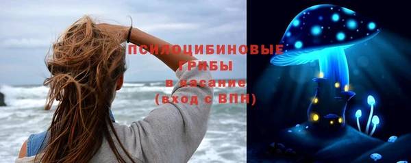 дмт Ладушкин