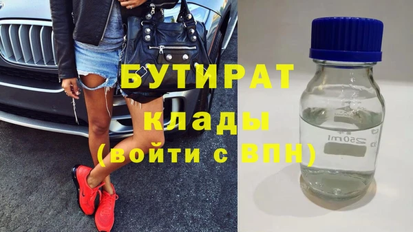 индика Дмитров
