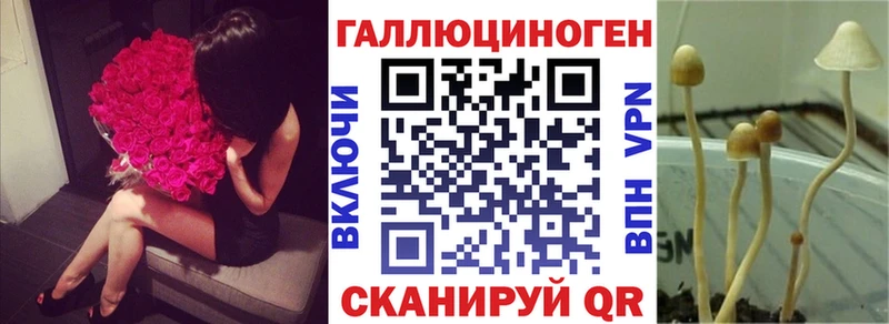 наркота  Куйбышев  Псилоцибиновые грибы Cubensis 